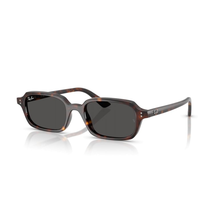 RAY-BAN 4455 135987